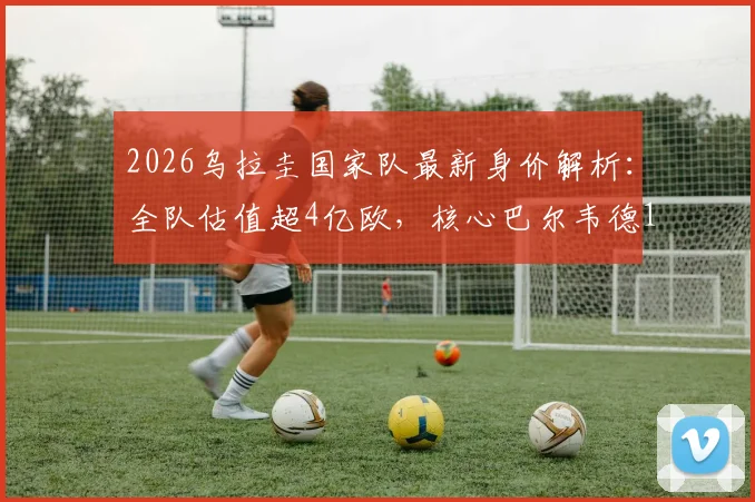 2026乌拉圭国家队最新身价解析:全队估值超4亿欧,核心巴尔韦德1.2亿领衔,哪个位置最值钱?