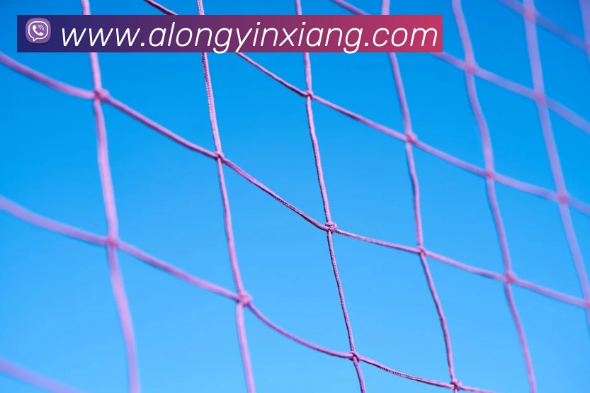 江南体育全站App